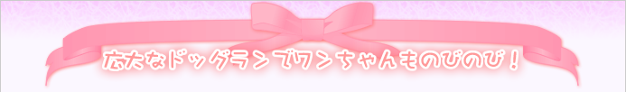 広大なドッグランでワンちゃんものびのび!