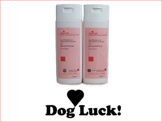 Dog Luck!